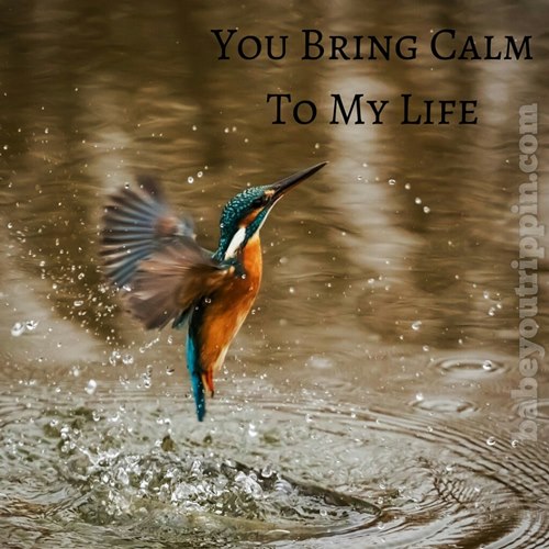 You_Bring_Calm_To_My_Life_BYT_Quote